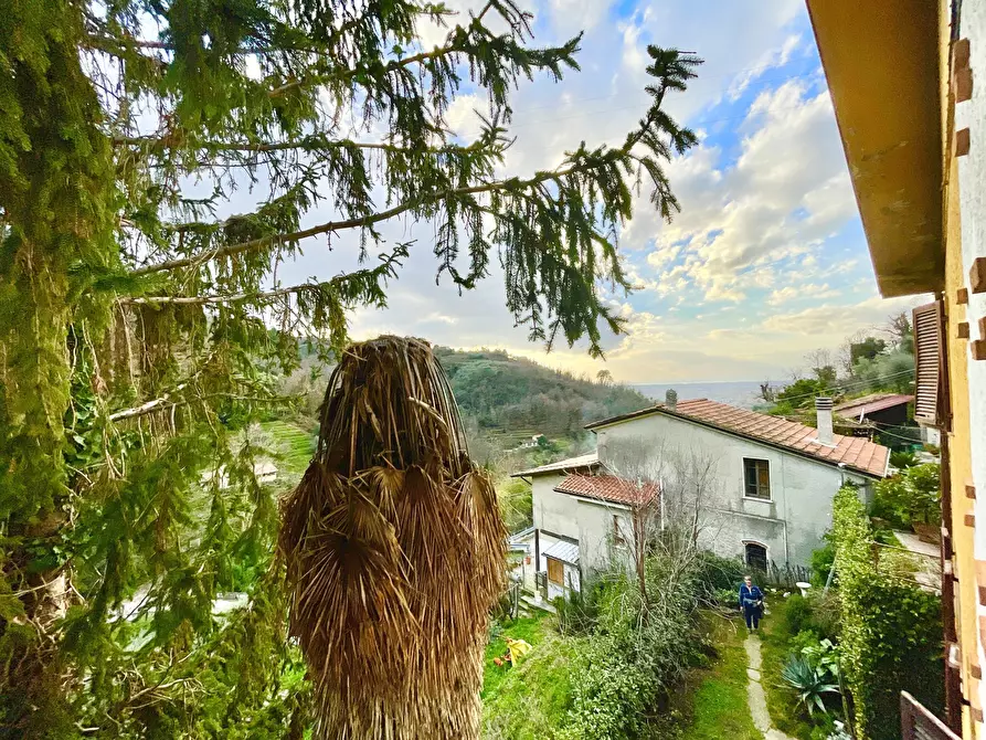 Immagine 18 di Porzione di casa in vendita  a Pietrasanta