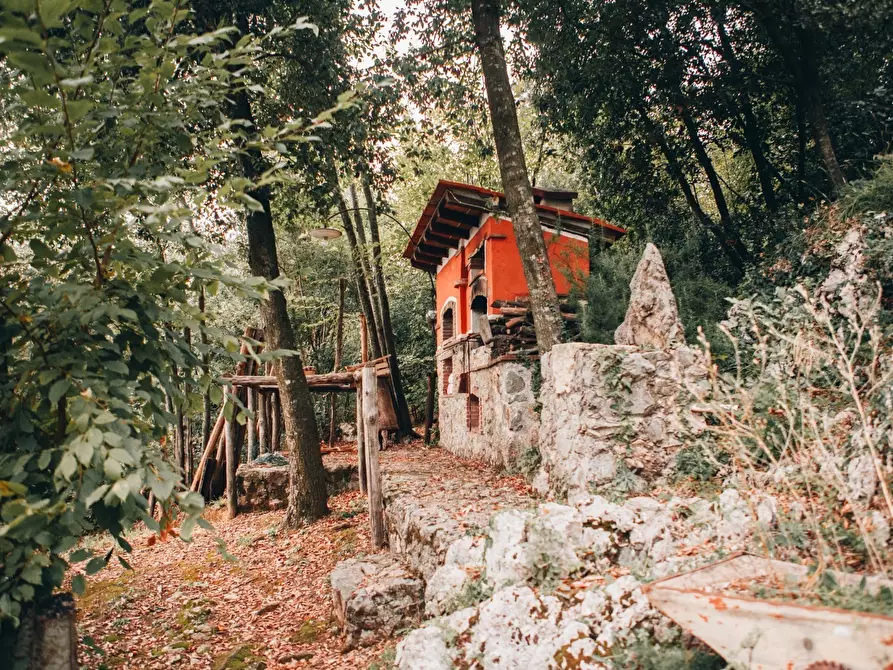 Immagine 38 di Rustico / casale in affitto  a Camaiore