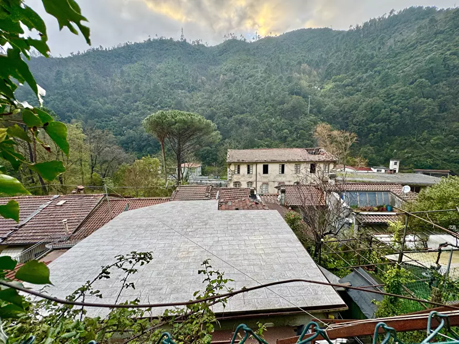 Immagine 42 di Terratetto in vendita  a Seravezza
