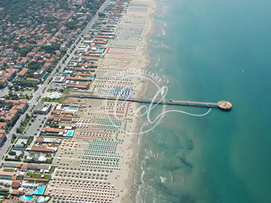 Immagine 2 di Capannone industriale in affitto  a Pietrasanta