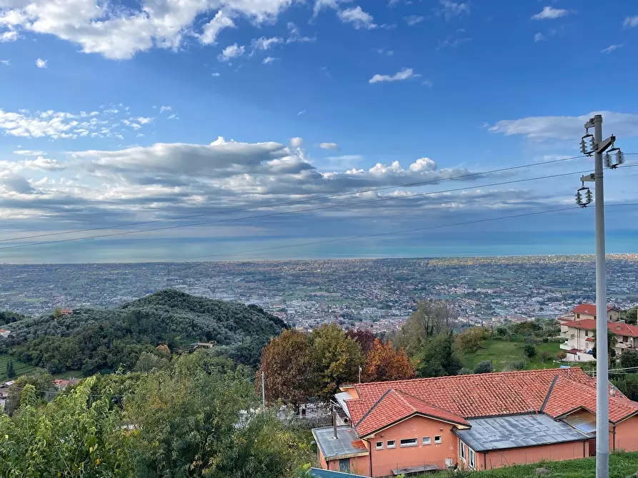 Immagine 2 di Villa in vendita  a Pietrasanta