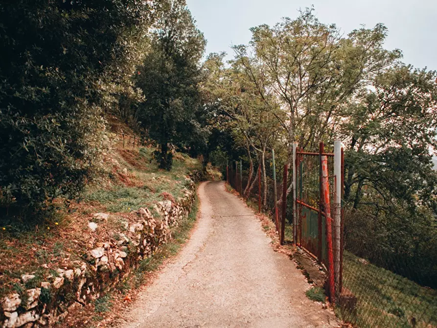 Immagine 42 di Rustico / casale in affitto  a Camaiore