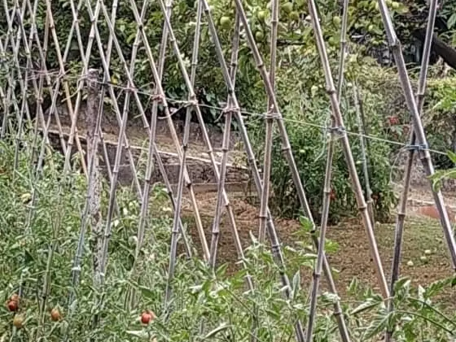 Immagine 25 di Casa indipendente in vendita  a Montignoso