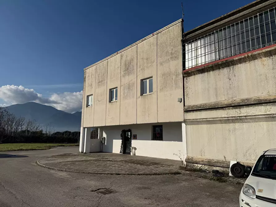 Immagine 3 di Attività artigianale in vendita  in Via ASI 7 15 a Ferentino