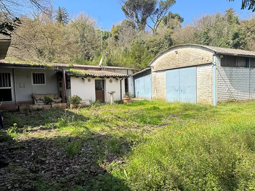 Immagine 6 di Locale commerciale in vendita  in Via Santa Apollaria a Zagarolo