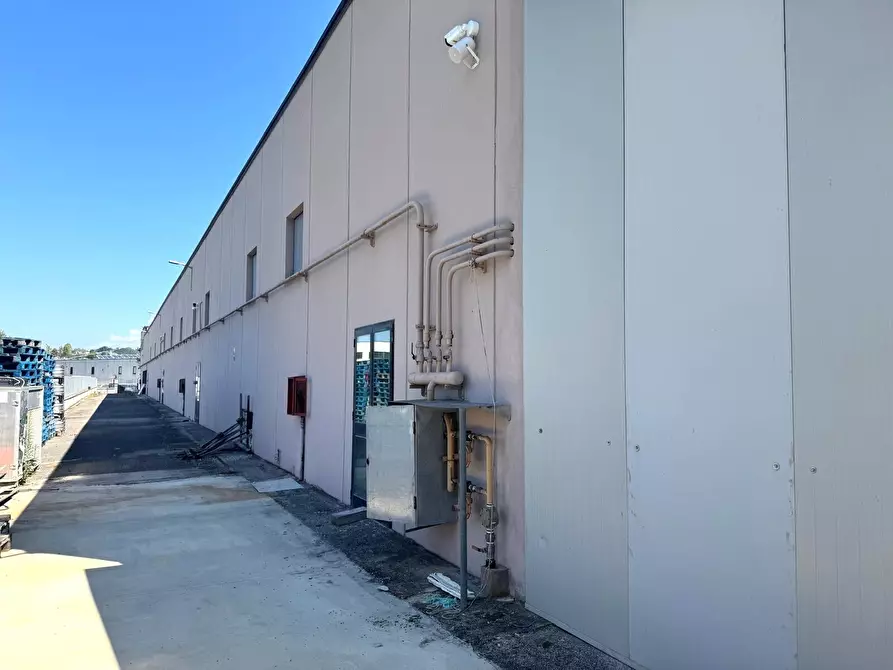 Immagine 24 di Capannone industriale in vendita  in Via Coste a Ripi