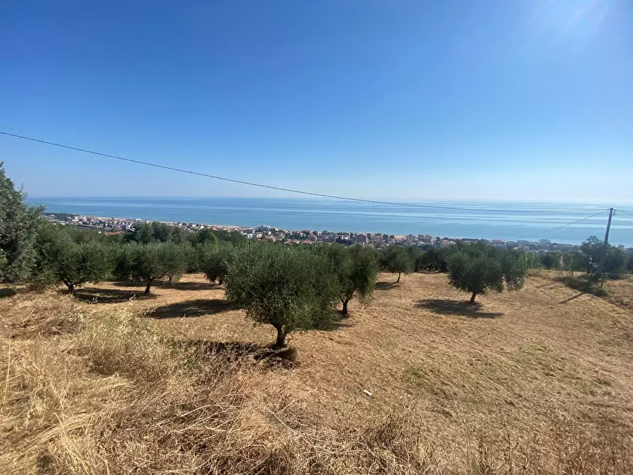 Immagine 13 di Porzione di casa in vendita  in Contrada Stagliano a Silvi