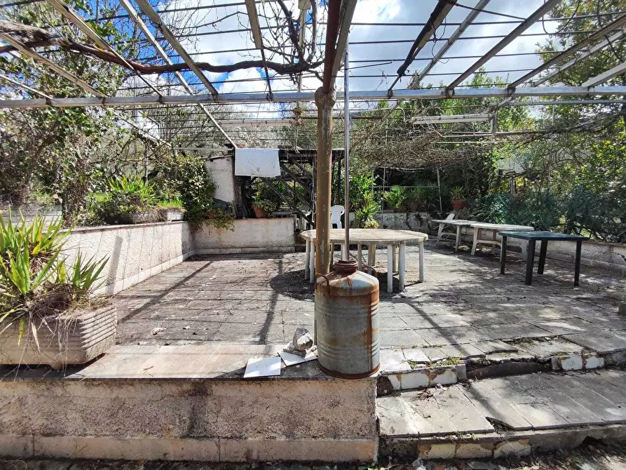 Immagine 14 di Terreno agricolo in vendita  in Via Dello Scalo Ferroviario 12 a Marcellina