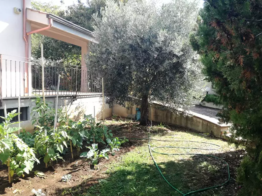 Immagine 31 di Villa in vendita  in Via Giuseppe Verdi 41 a Marcellina