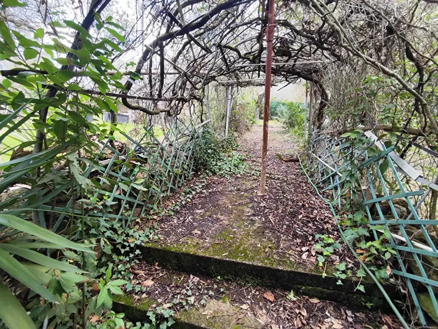 Immagine 26 di Terreno agricolo in vendita  in Via Dello Scalo Ferroviario 12 a Marcellina