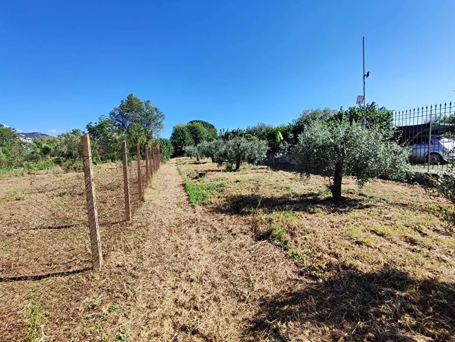 Immagine 9 di Terreno agricolo in vendita  in via colle ponte a Guidonia Montecelio