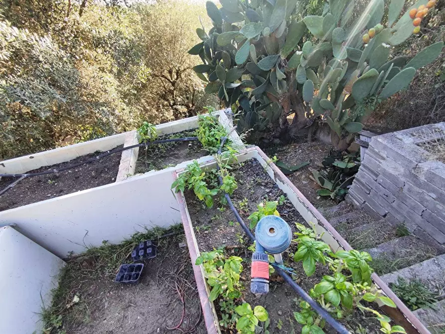 Immagine 11 di Terreno agricolo in vendita  in via caolini a Marcellina
