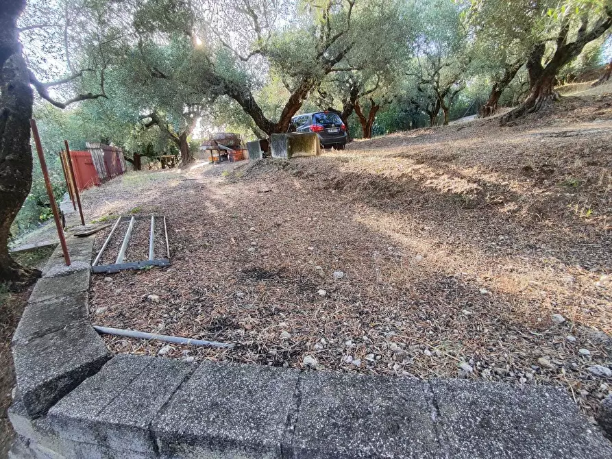 Immagine 22 di Terreno agricolo in vendita  in via caolini a Marcellina