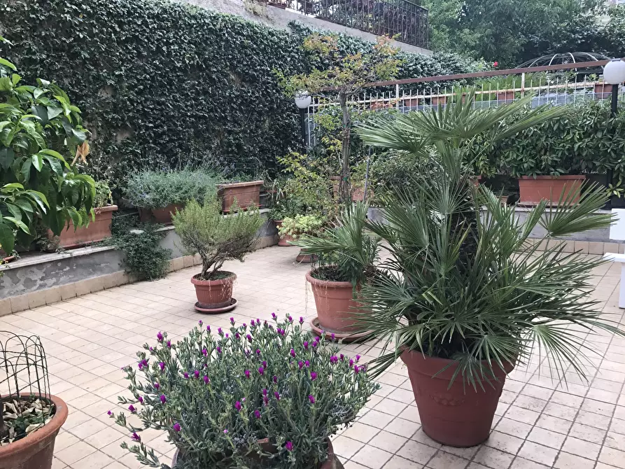 Immagine 8 di Casa indipendente in affitto  in Lungo Castellano Sisto V a Ascoli Piceno