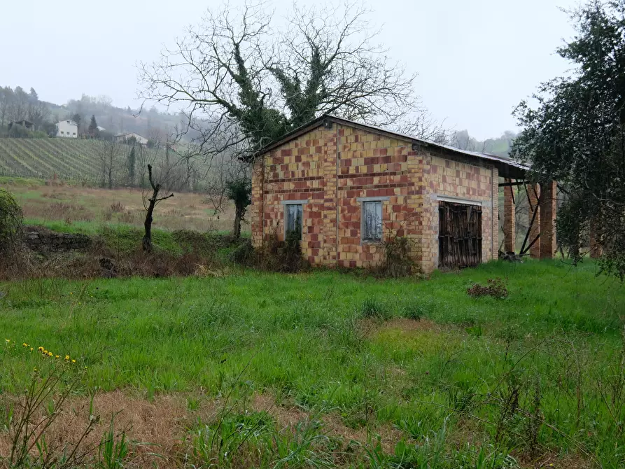 Immagine 7 di Terreno agricolo in vendita  in Contrada Salerna 129 a Cupramontana