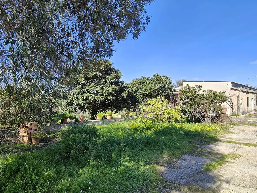 Immagine 3 di Rustico / casale in vendita  a Sassari