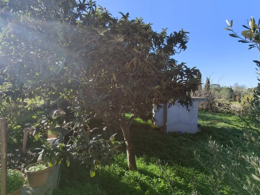 Immagine 14 di Rustico / casale in vendita  a Sassari