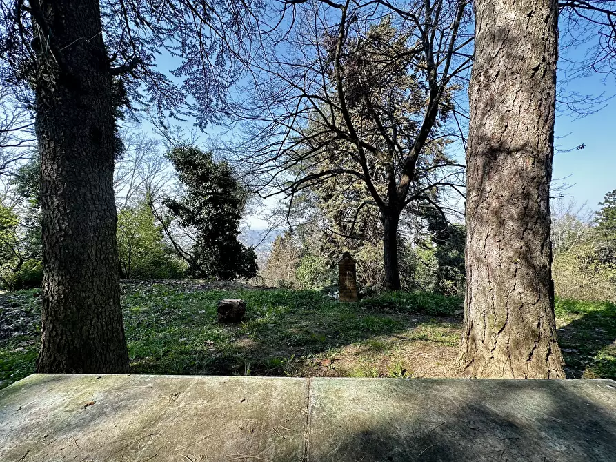 Immagine 16 di Rustico / casale in vendita  in Via Vicinale Santa Lucia a Cesena