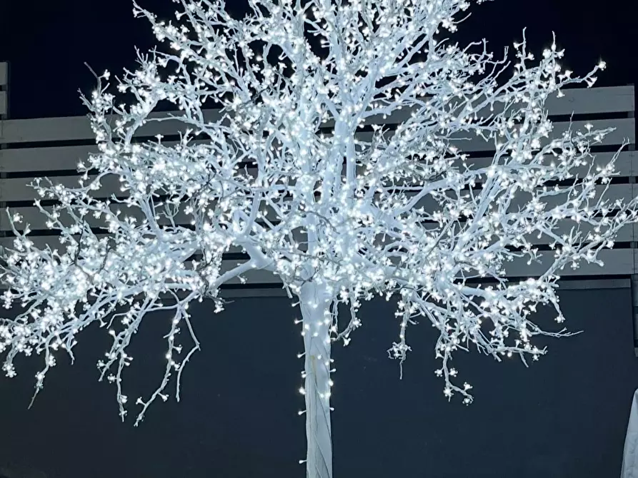 Immagine 25 di Casa semindipendente in vendita  a Altavilla Milicia