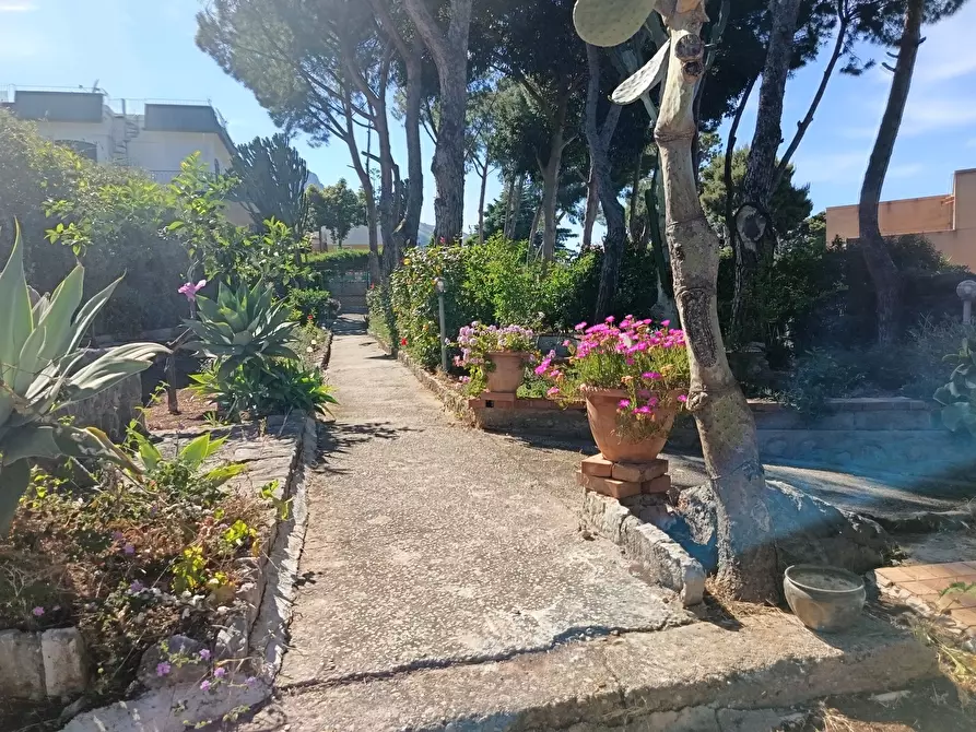 Immagine 35 di Villa in vendita  a Trabia