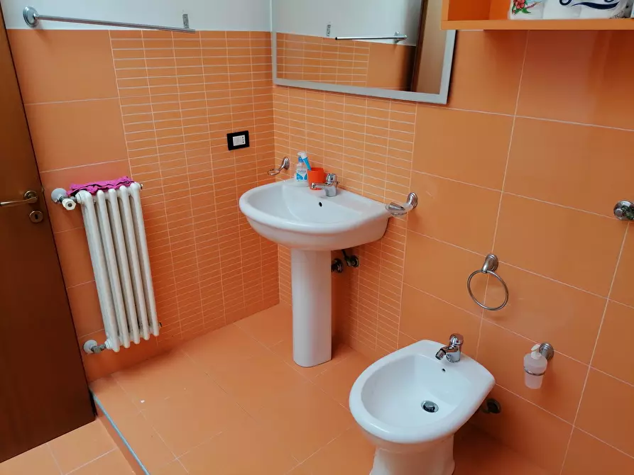 Immagine 28 di Trilocale in affitto  a Balestrate