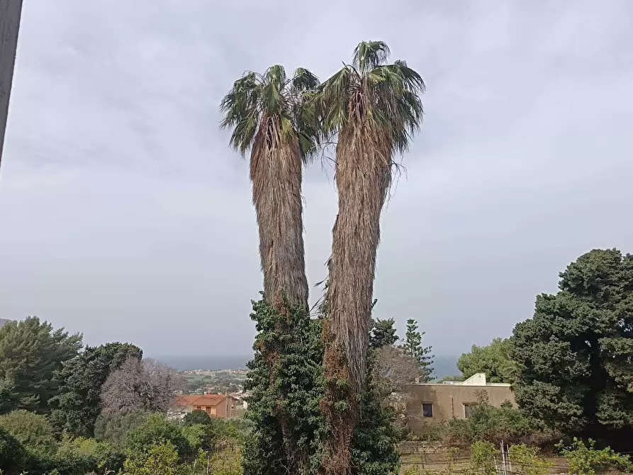 Immagine 24 di Villa in vendita  a Valderice