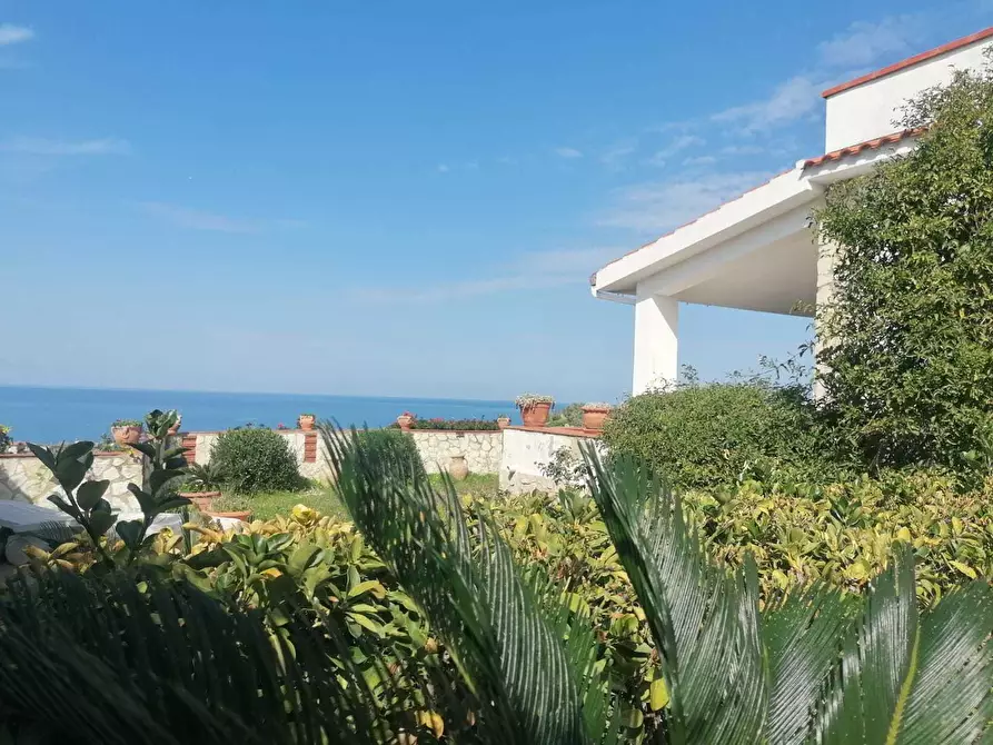 Immagine 22 di Villetta a schiera in vendita  a Trappeto