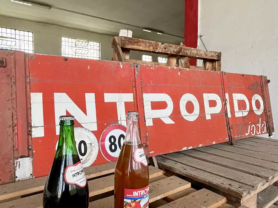 Immagine 1 di Capannone industriale in vendita  in Via Circonvallazione 9 a Villanterio