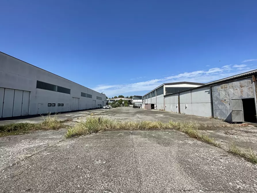 Immagine 12 di Magazzino in vendita  in Via delle Barazzine 9 a Pieve Porto Morone