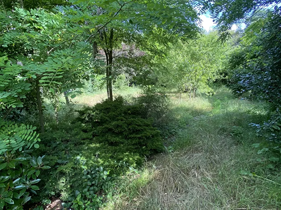 Immagine 15 di Bar / Ristorante in vendita  in VIA ROMA 10 a Moscazzano