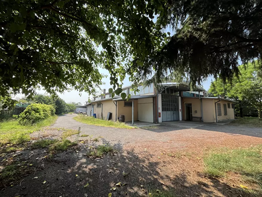Immagine 3 di Capannone industriale in vendita  in Via Sandro pertini 9 a Miradolo Terme