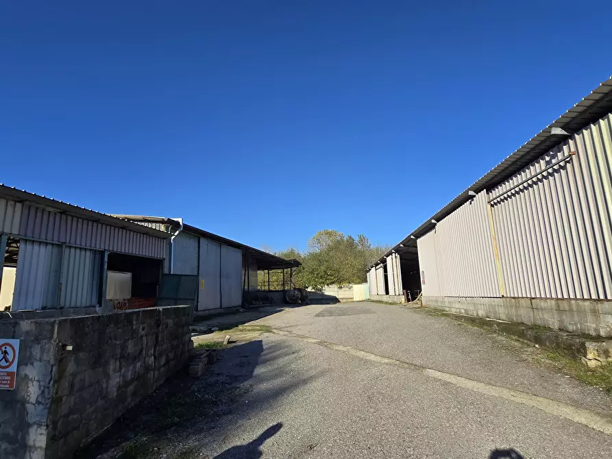 Immagine 16 di Capannone industriale in vendita  in Via delle Regone a San Colombano Al Lambro