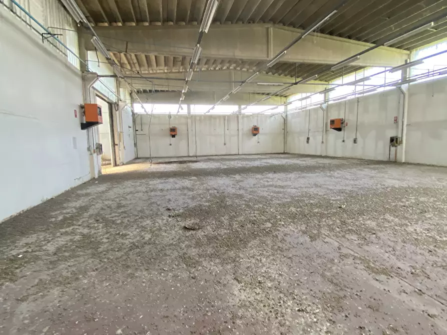 Immagine 7 di Capannone industriale in affitto  in VIA BRODOLINI 5 a Casalpusterlengo