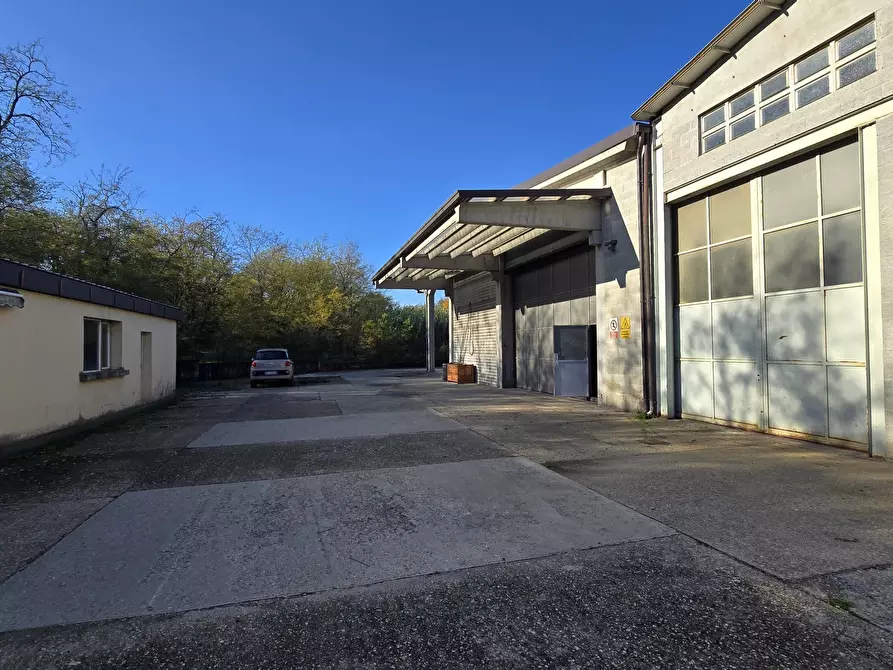 Immagine 10 di Capannone industriale in vendita  in Via delle Regone a San Colombano Al Lambro