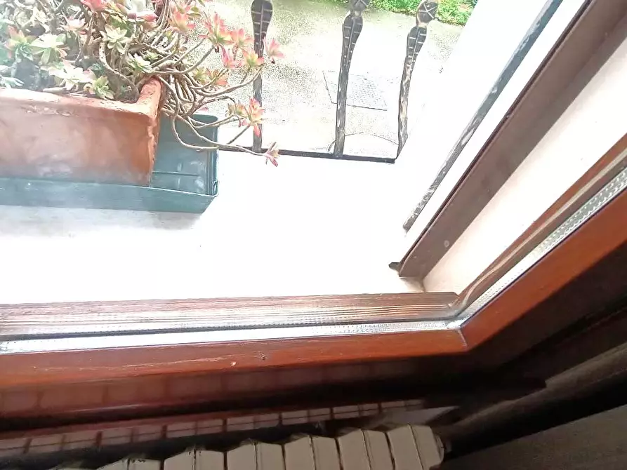 Immagine 15 di Casa bifamiliare in vendita  a Bosaro