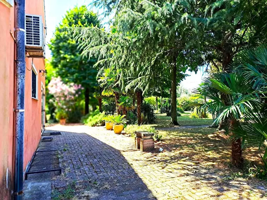 Immagine 24 di Porzione di casa in vendita  a Rovigo
