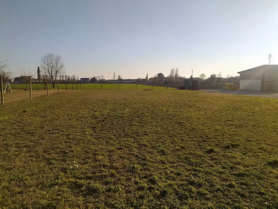 Immagine 3 di Terreno industriale in vendita  in Via Ghetto a Pontecchio Polesine