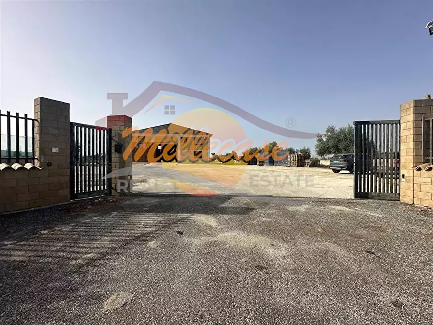 Immagine 24 di Attività artigianale in vendita  in Via Elorina a Siracusa