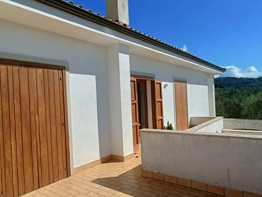 Immagine 10 di Villa in vendita  in SP79 a Feroleto Antico