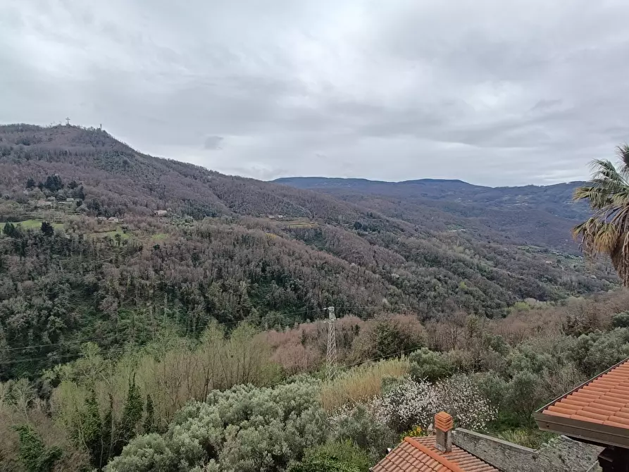 Immagine 1 di Quadrilocale in vendita  in Via Garibaldi a Conflenti