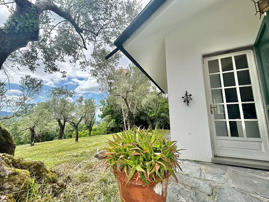 Immagine 14 di Casa indipendente in vendita  a Castelnuovo Magra