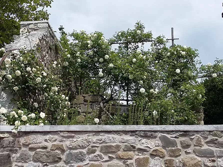 Immagine 60 di Terratetto in vendita  in Località Luscignano 18 a Casola In Lunigiana