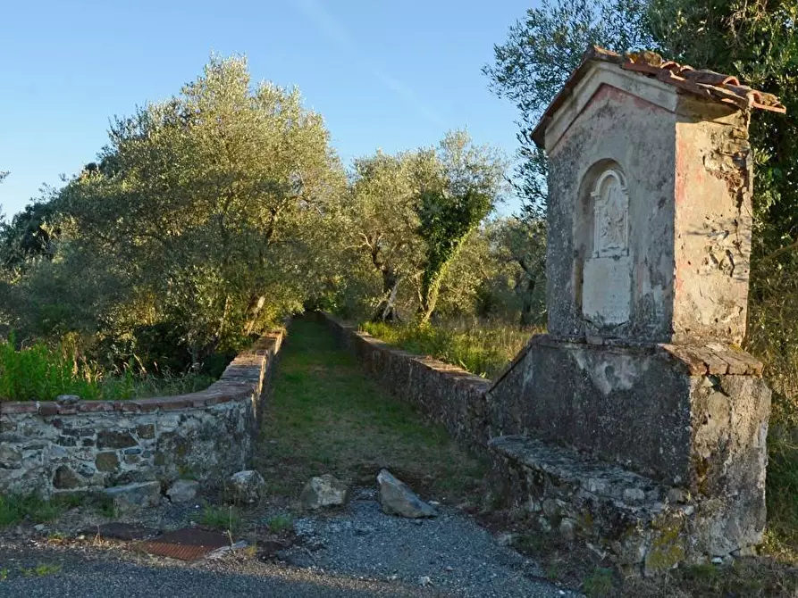 Immagine 79 di Villa in vendita  a Sarzana