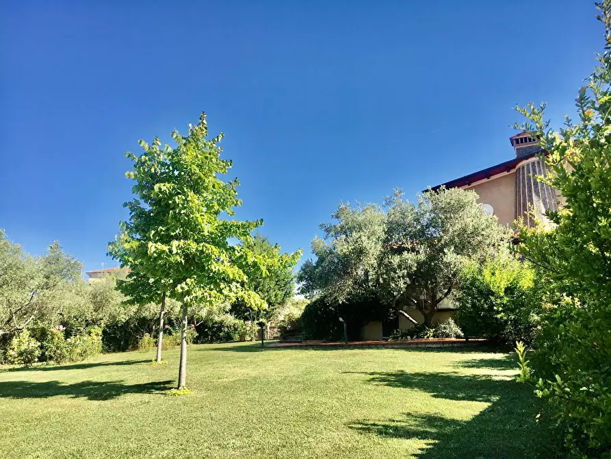 Immagine 13 di Agriturismo in vendita  a Castelnuovo Magra