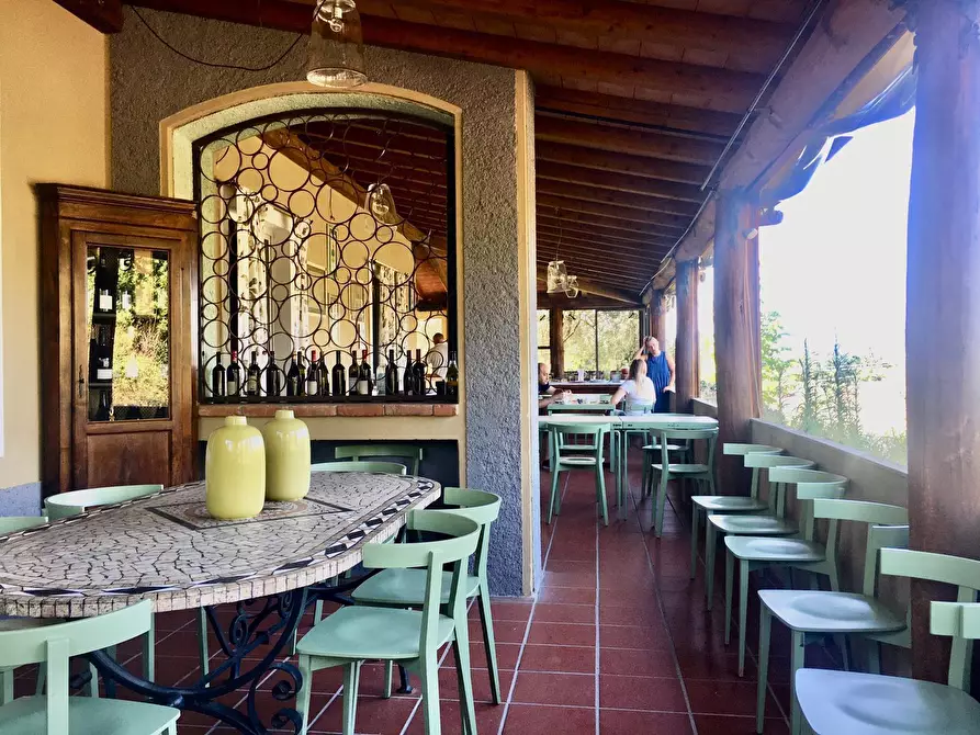 Immagine 33 di Agriturismo in vendita  a Castelnuovo Magra