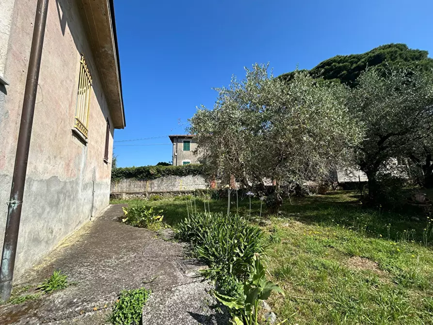 Immagine 19 di Casa indipendente in vendita  a Sarzana