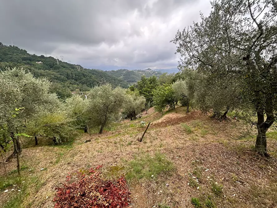 Immagine 21 di Terreno edificabile in vendita  a Arcola