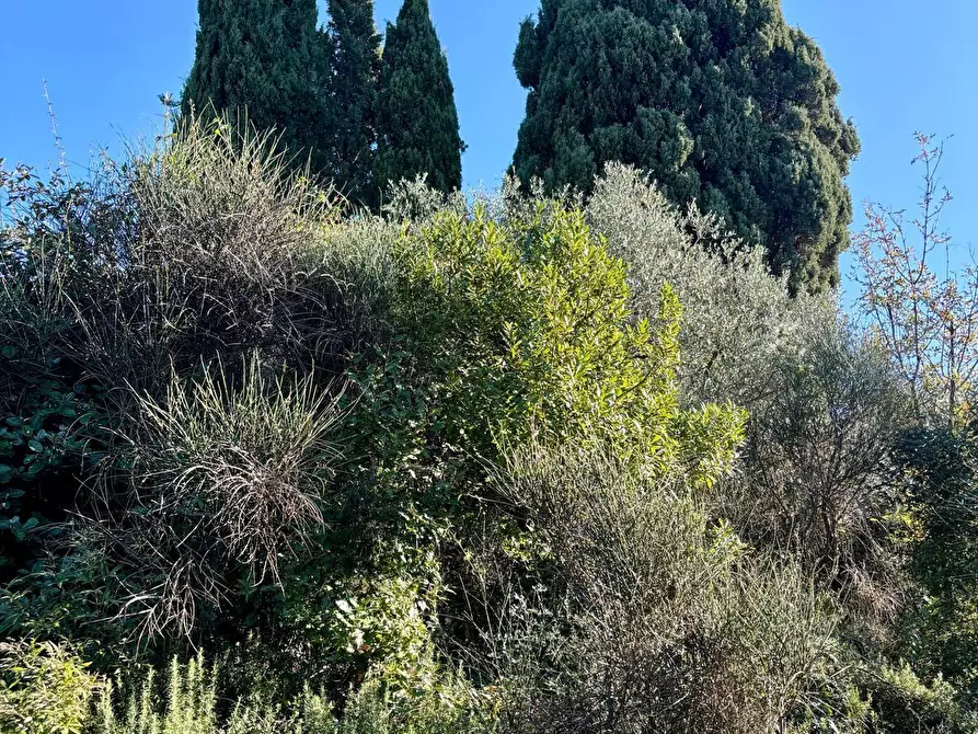 Immagine 18 di Villa in vendita  a Sarzana