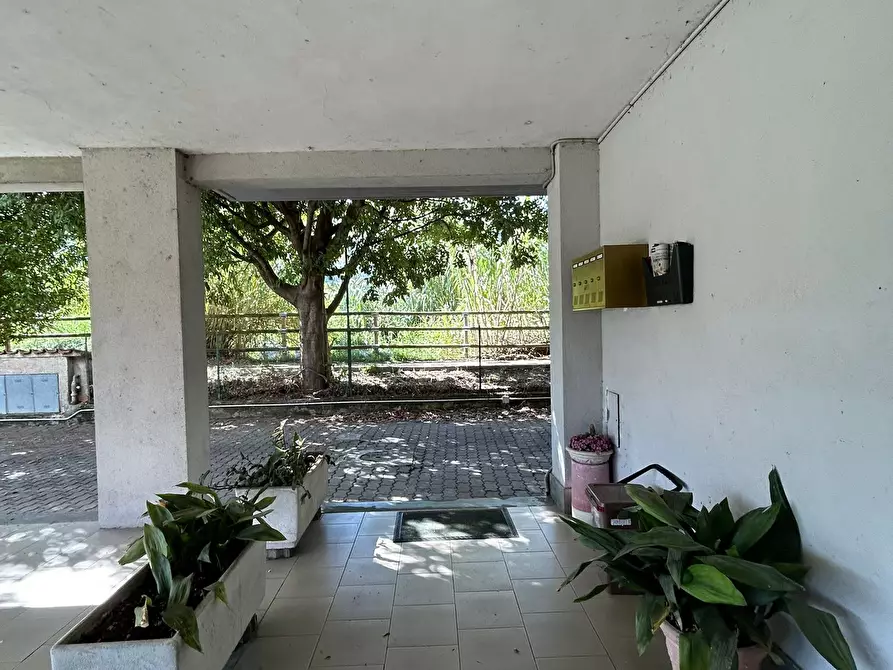 Immagine 38 di Quadrilocale in vendita  a Sarzana