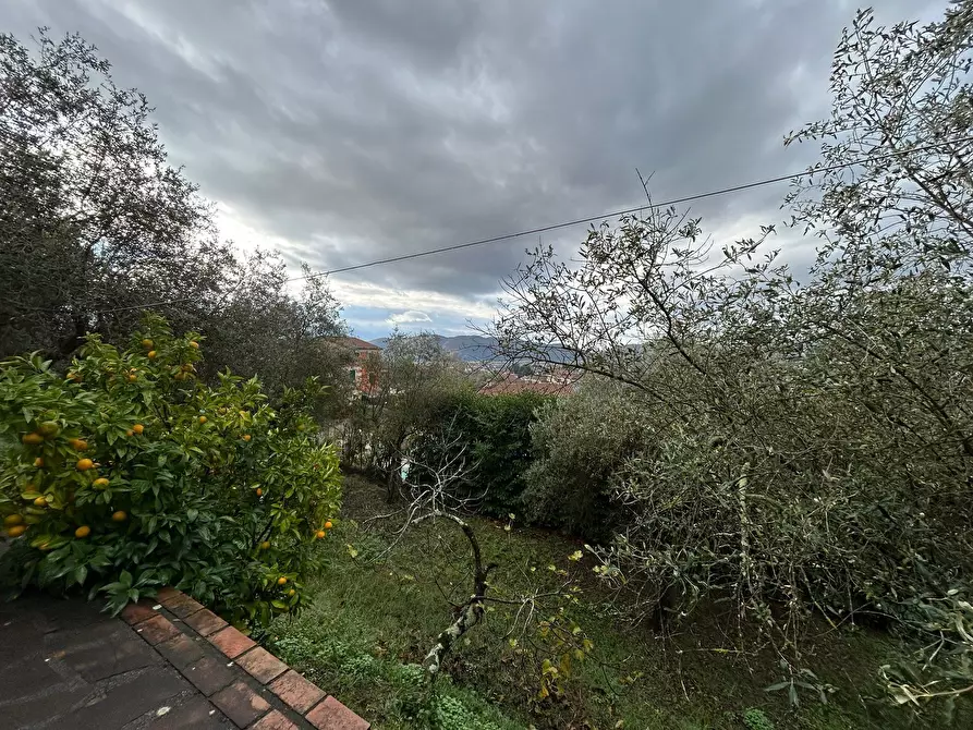 Immagine 16 di Casa indipendente in vendita  a Sarzana